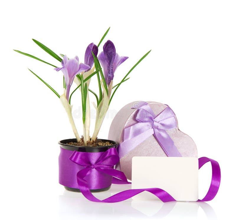 Crocus Enclosure Card Crocus Enclosure Card