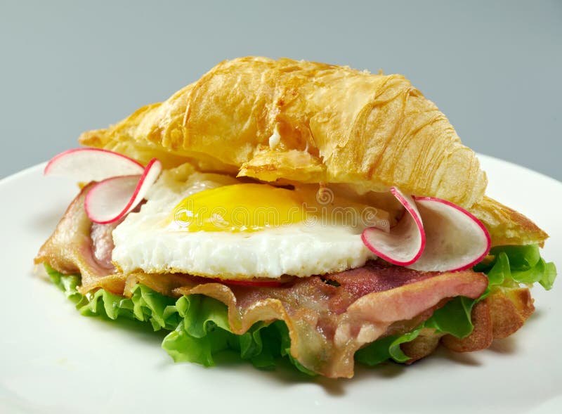 Croissant bourré photographie stock Croissant bourré photographie stock