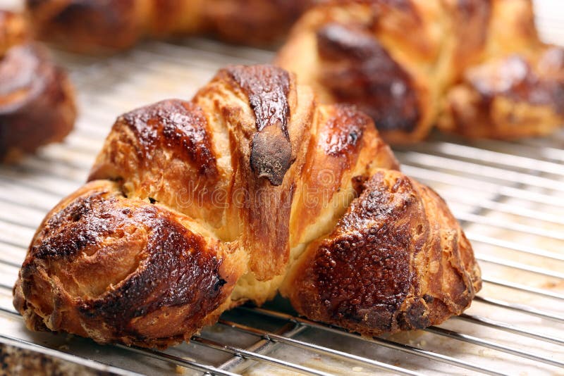Croissant Stuffed with Poppy Seeds Stock Image Image of bright