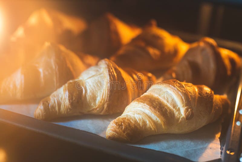 Croissants baking in oven. stock image. Image of bake 229685723