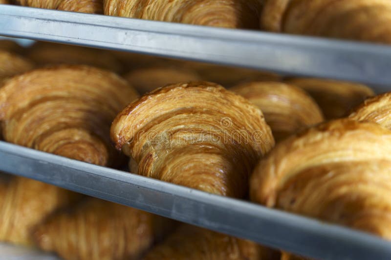 Croissants in a bakery. Cooking pastries in a pastry shop. French crispy croissants close up. High quality photo. Croissants in a bakery. Cooking pastries in a pastry shop. French crispy croissants close up. High quality photo