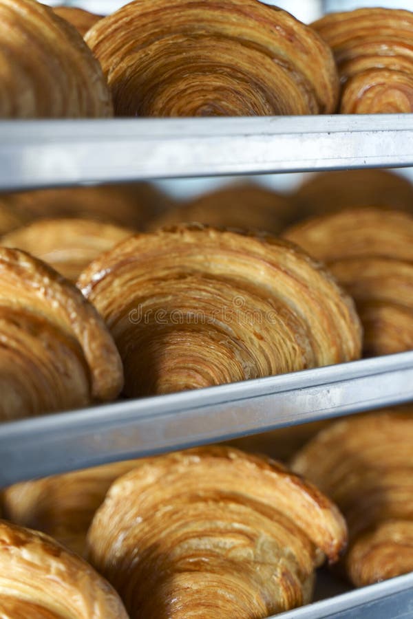 Croissants in a bakery. Cooking pastries in a pastry shop. French crispy croissants close up. High quality photo. Croissants in a bakery. Cooking pastries in a pastry shop. French crispy croissants close up. High quality photo