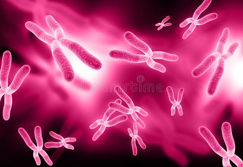 Cromossoma imagem de stock Cromossoma imagem de stock