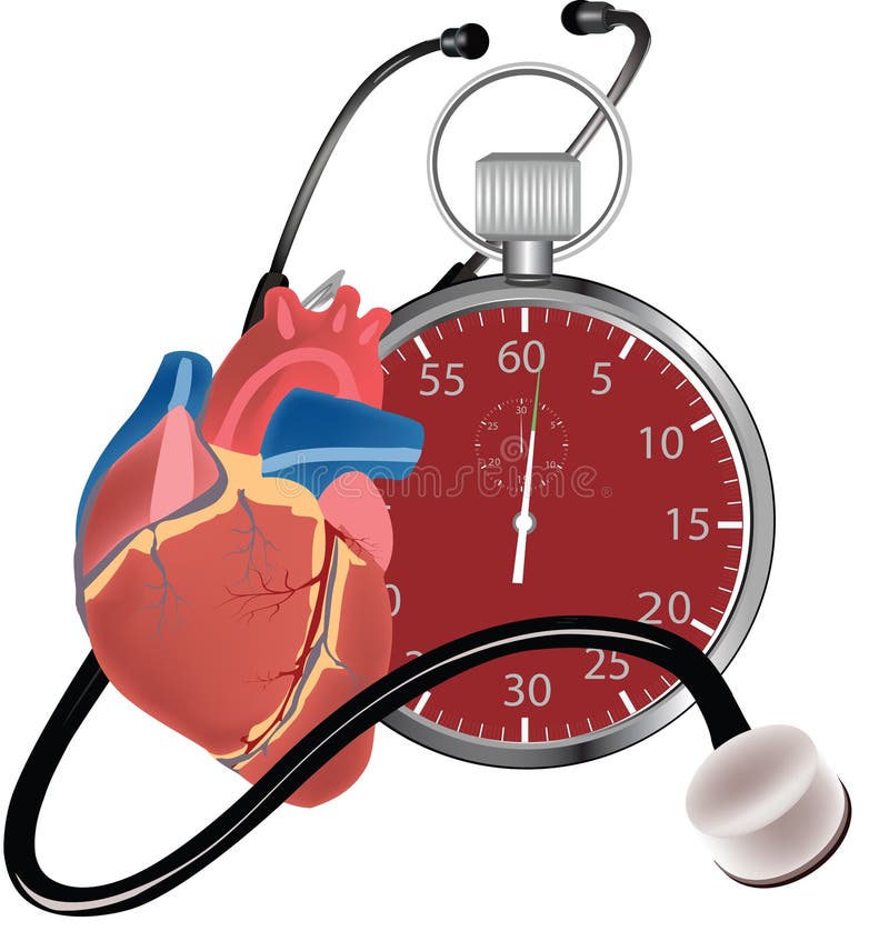 Cronometro del cuore umano cronometro del cuore umano arresto del cuore umano