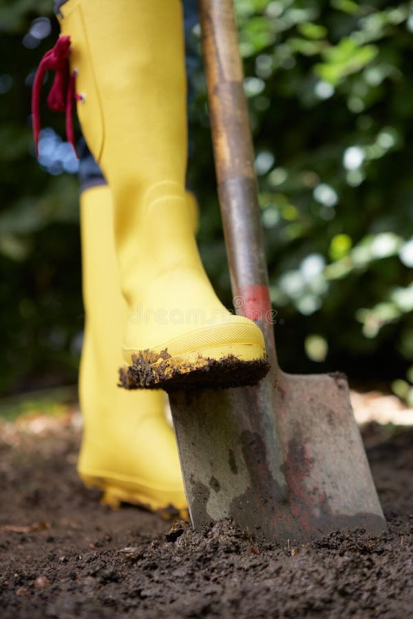 Crop of woman digging in garden