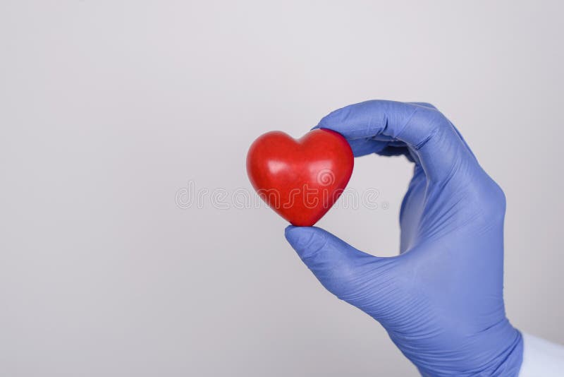 Cropped close up photo of hand in nitrile latex glove holding showing little red heart isolated over gray background copyspace stock image Cropped close up photo of hand in nitrile latex glove holding showing little red heart isolated over gray background copyspace stock image