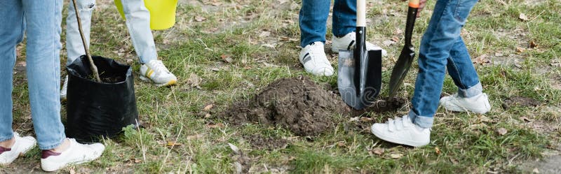 father and son digging ground in forest with shovels, ecology