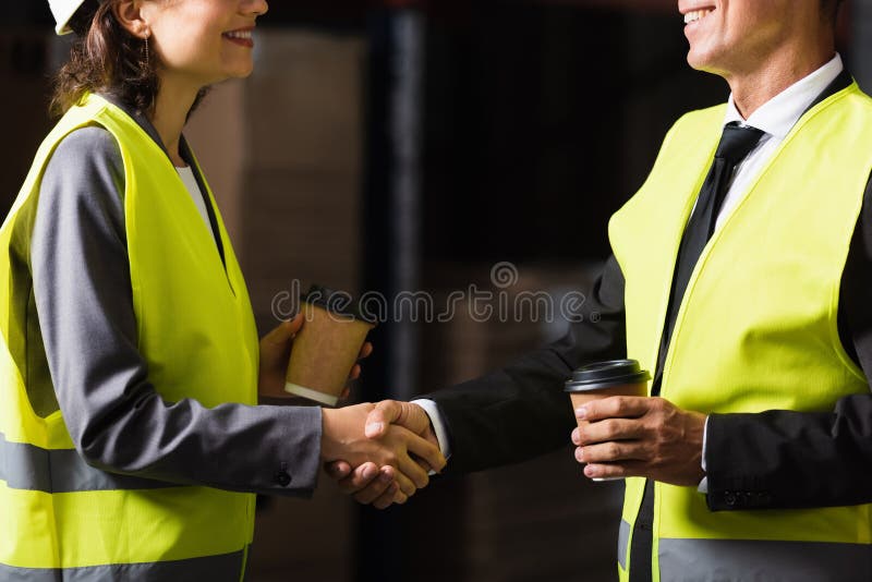 Priveliște deformată a supraveghetorului fericit și royalty free stock photos