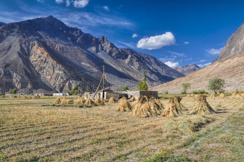 Crops in Tajikistan stock image. Image of picturesque 49553283