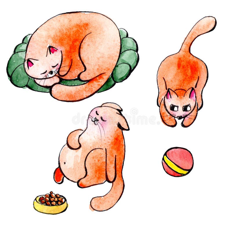 Croquis D Aquarelle De Croquis De Chat De Chaton De Gingembre Sur Le Fond Blanc Illustration Stock Illustration Du Amusement Bille Croquis D Aquarelle De Croquis De Chat De Chaton De Gingembre Sur Le Fond Blanc Illustration Stock Illustration Du Amusement Bille