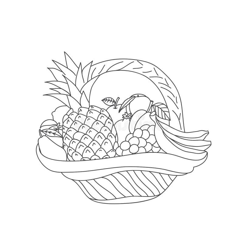 Croquis De Panier Avec Le Fruit Sur Un Fond Blanc Illustration De Vecteur Illustration Du Vegetarien Griffonnage 89031402 Croquis De Panier Avec Le Fruit Sur Un Fond Blanc Illustration De Vecteur Illustration Du Vegetarien Griffonnage 89031402