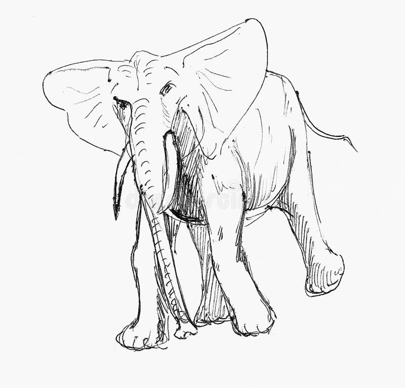 Croquis de stylo d'un éléphant illustration stock Croquis de stylo d'un éléphant illustration stock