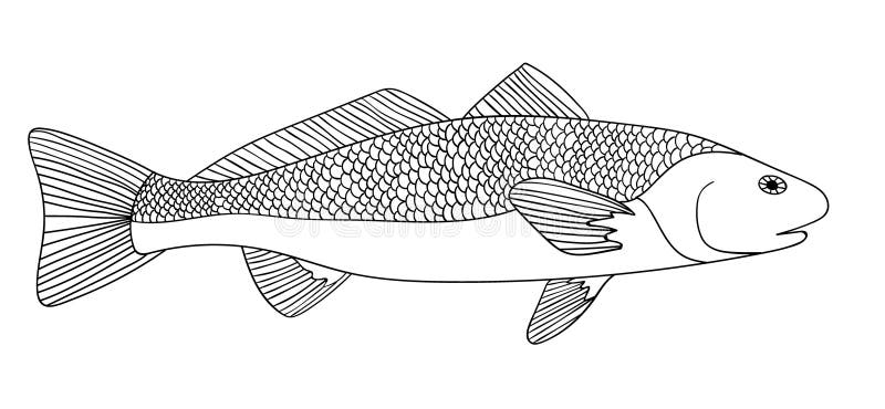 Croquis ornemental détaillé d'un poisson illustration libre de droits Croquis ornemental détaillé d'un poisson illustration libre de droits