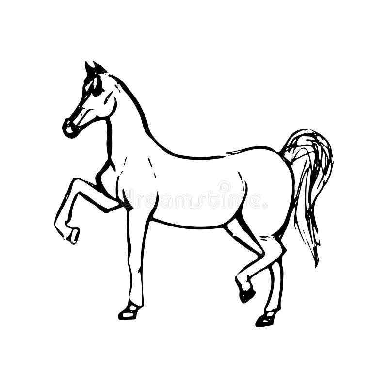 Croquis tiré par la main de cheval Dessin au trait noir d'isolement sur le fond blanc Illustration d'animal de vecteur illustration libre de droits Croquis tiré par la main de cheval Dessin au trait noir d'isolement sur le fond blanc Illustration d'animal de vecteur illustration libre de droits