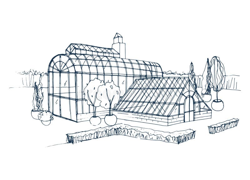 Croquis à main levée de l'extérieur du jardin botanique exotique entouré par des buissons et des arbres s'élevant dans des pots D illustration de vecteur Croquis à main levée de l'extérieur du jardin botanique exotique entouré par des buissons et des arbres s'élevant dans des pots D illustration de vecteur