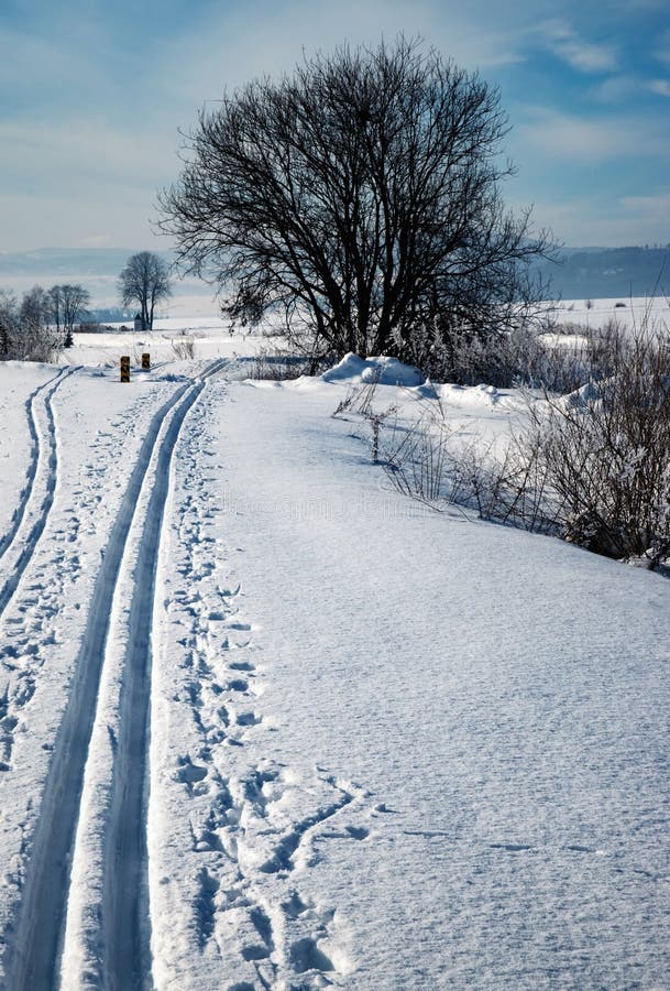 A Cross-country Route Runs Around the Tree Stock Image - Image of