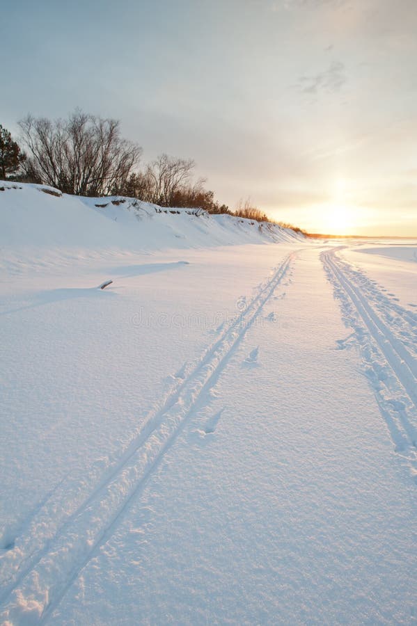 Cross Country Ski Tracks at Seaside Stock Photo Image of outdoor
