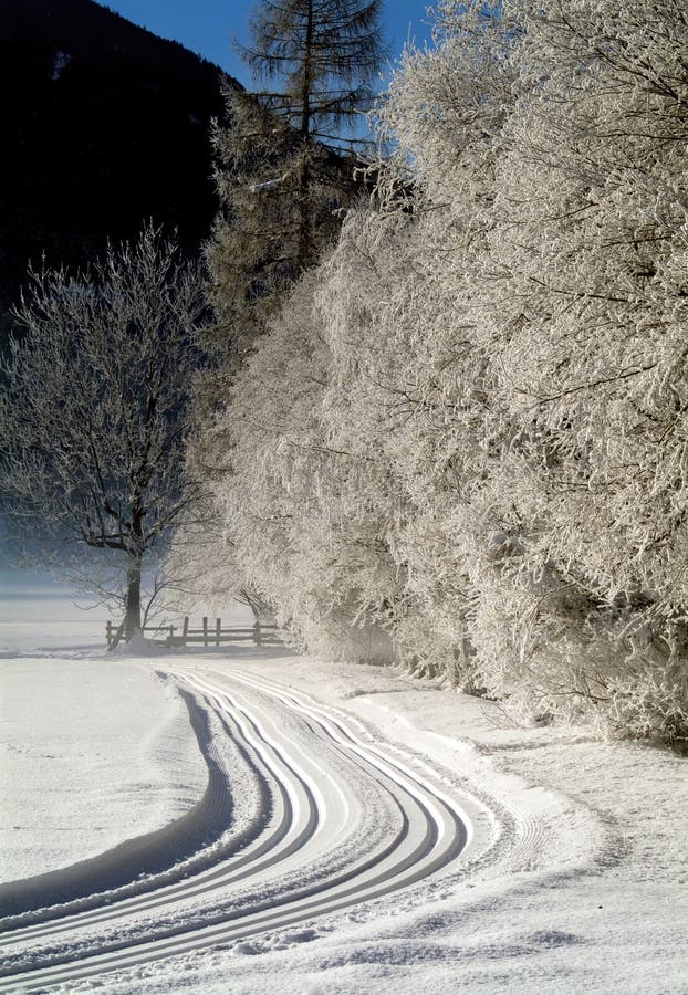 free cross country ski trails near me