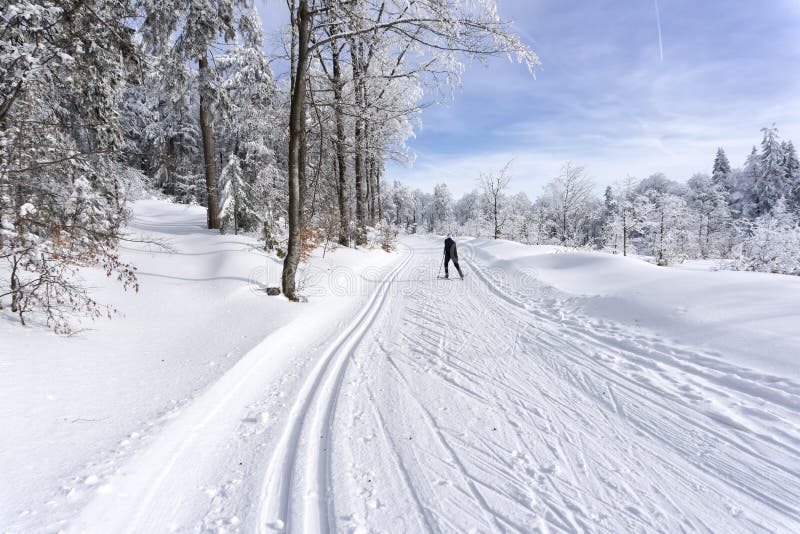 Běžkař běžící upravenou lyžařskou stopu. Cesta v horách v zimě za slunečného dne. Stromy pokryté jinovatkou.