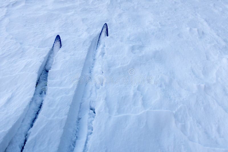 Cross Country Skiing in Deep Snow. Stock Photo Image of skier, skiing