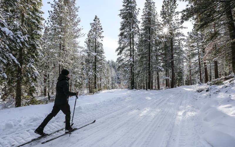 Cross Country Skiing near Truckee, California.