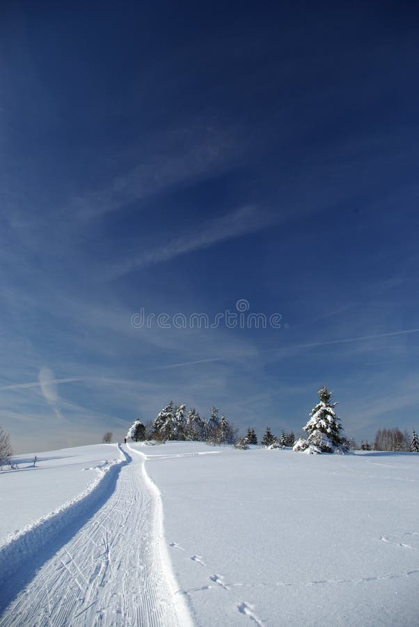 Cross-country skiing in Slovak mountains