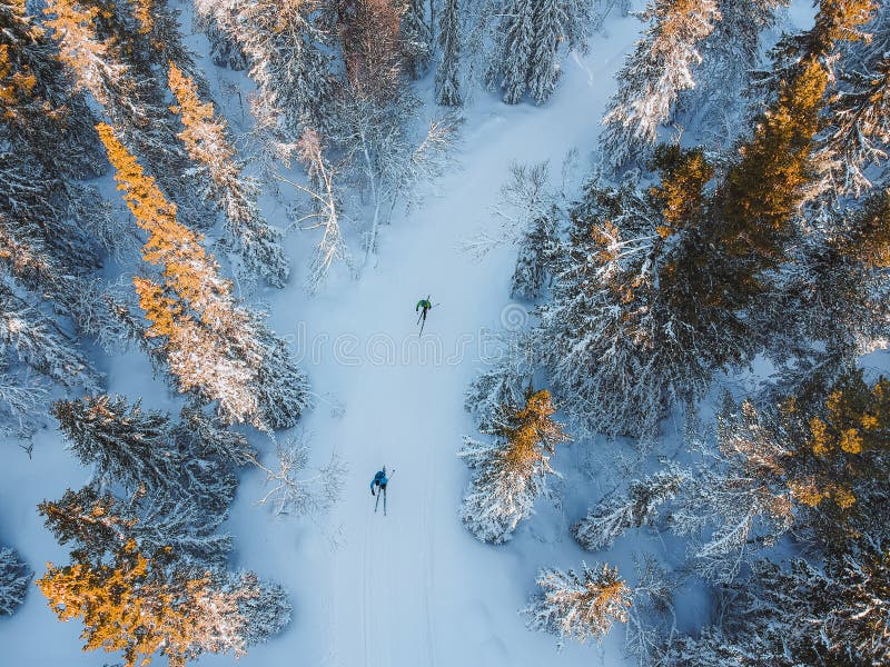 Cross-country skiing in a snow-covered forest in Norway