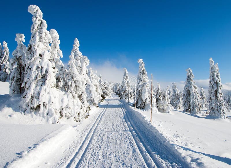 Cross country skiing way