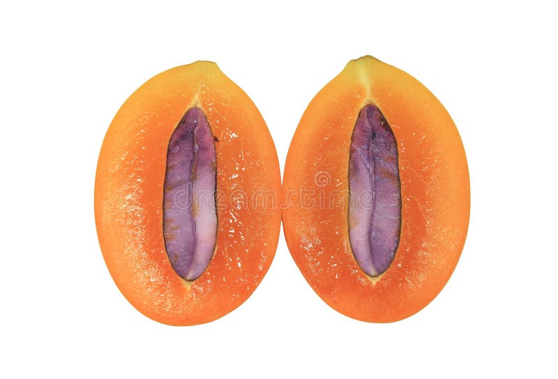 Cross Section of Marian Plum Showing Its Juicy Flesh and Purple Seed Isolated on White Background stock photo
