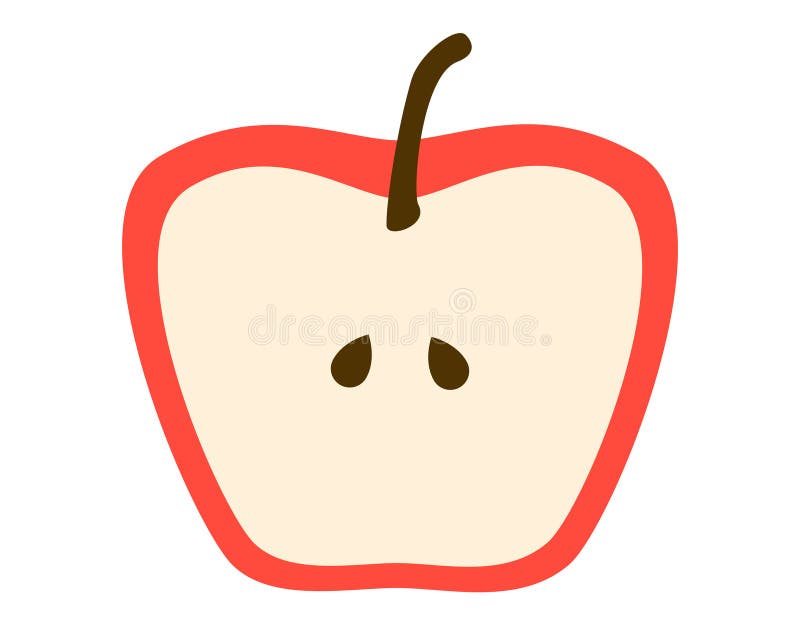 Cross section of red apple half with a stem and two seeds isolarted on plain white background vector illustration