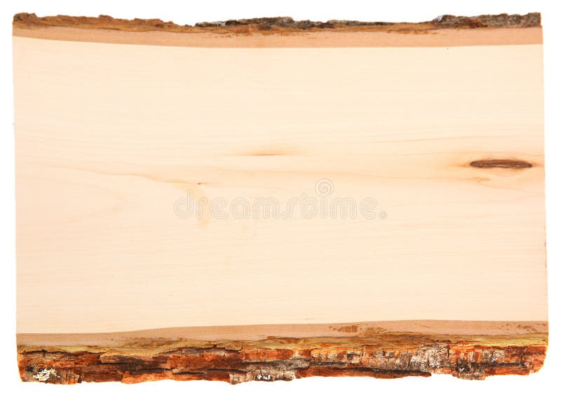 Cross Section Slice of Wood with Bark