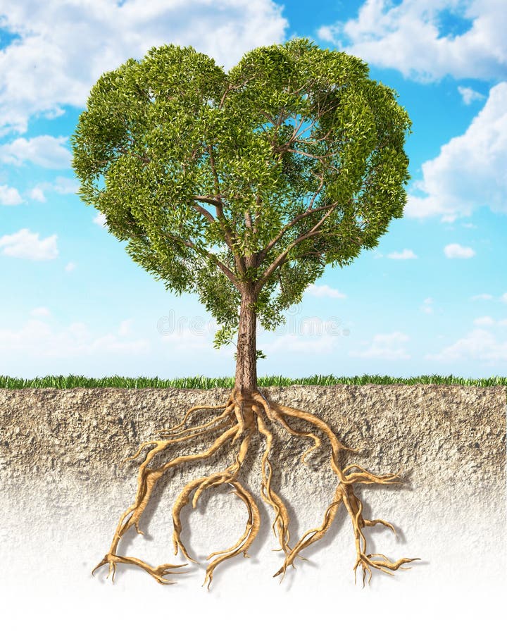Cross section of soil showing a tree heart shaped, with its root royalty free stock image