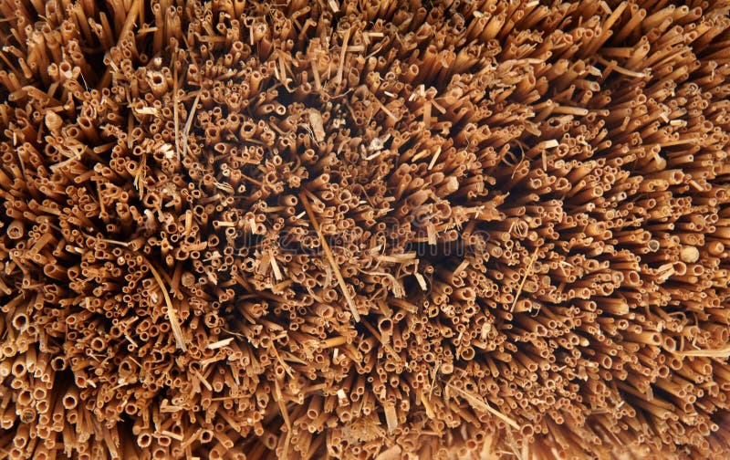 Straw of Yellow Color Scattered on a Horizontal Surface Stock Image