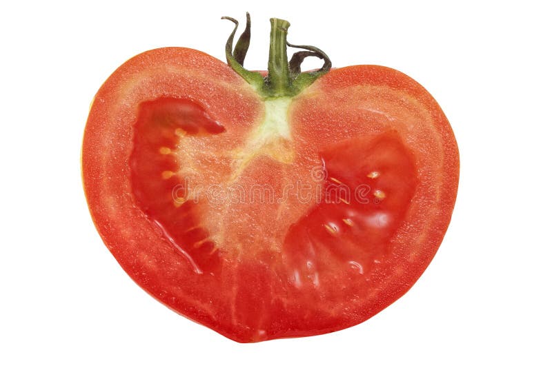Cross section of tomato stock photo. Image of nutrition 19973888