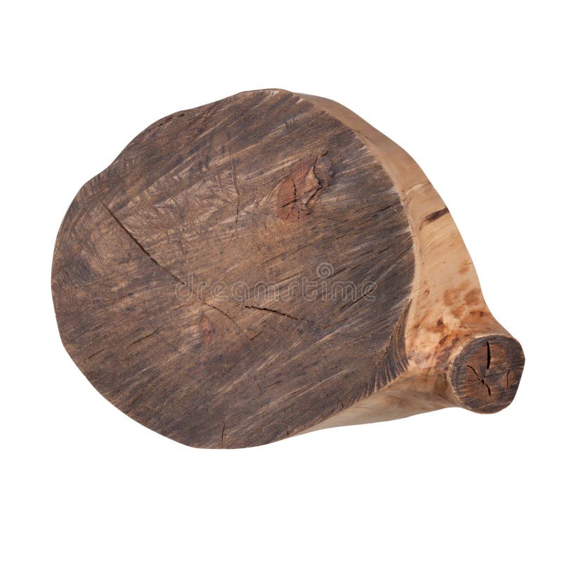 Cross-section of a tree royalty free stock photography
