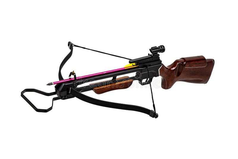 Crossbow Isolate On White Back. Modern Crossbow With Wooden Butt. Quiet