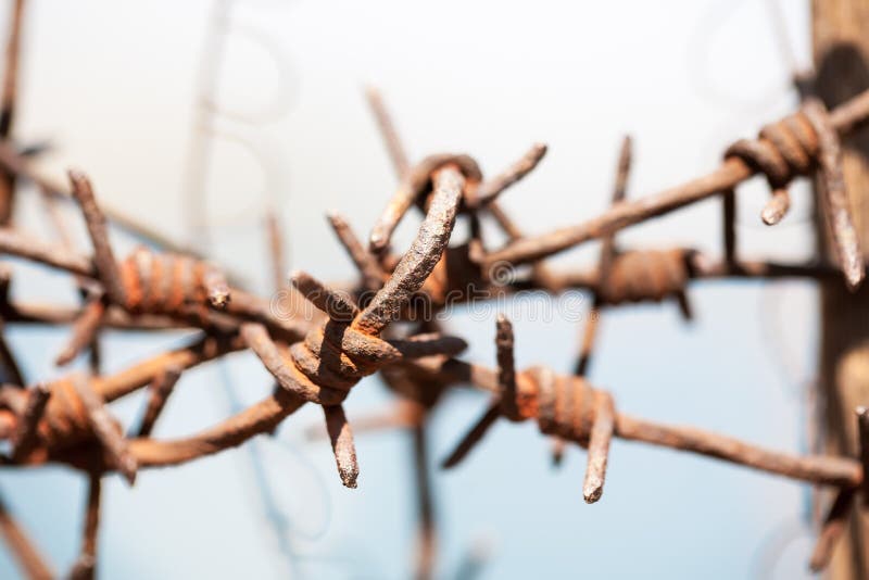 Crossed barb wire