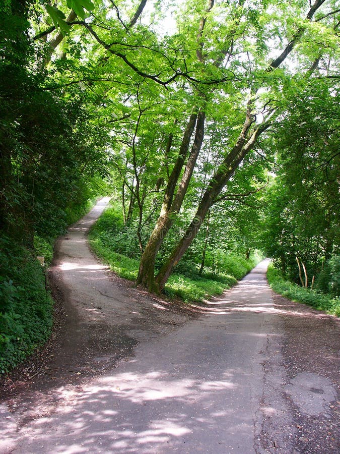 Where can you find roads without cars, forests without trees and -  Charada e Resposta - Racha Cuca