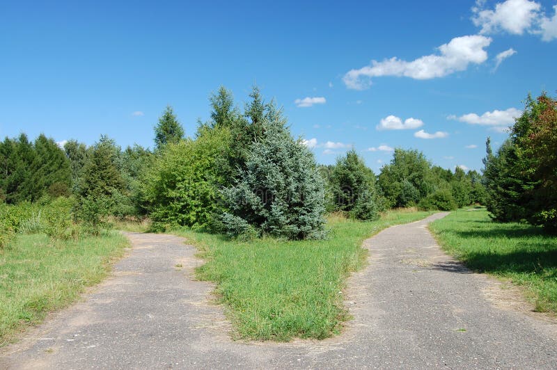 Crossroads in the park