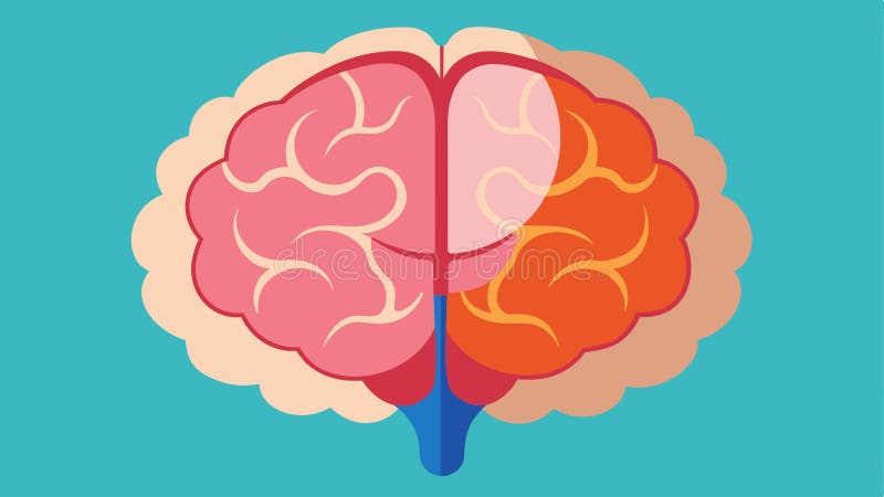 O vedere transversală a creierului care prezintă ventriculi măriți și atrofie în hipocampus, indicându-se faptul că stock illustration