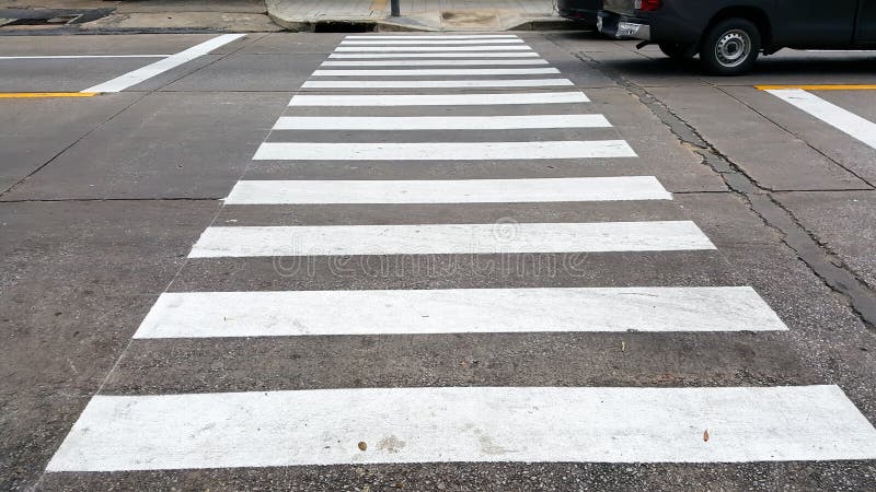 Crosswalk on the road for safety when the car has passed the white crosswalk sign in the morning