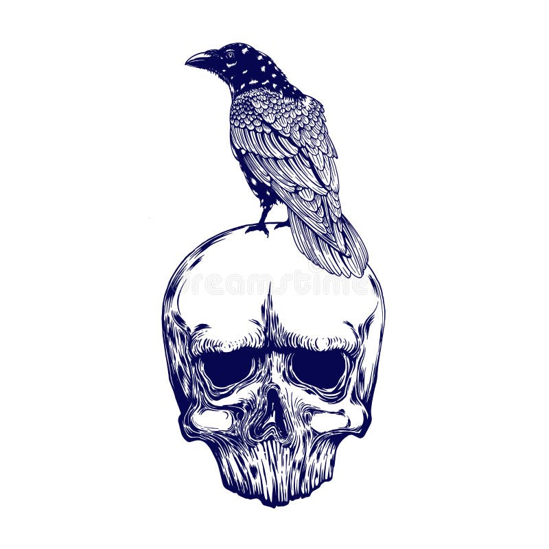 Crow Skull stock vector. Illustration of dark, background - 36109765