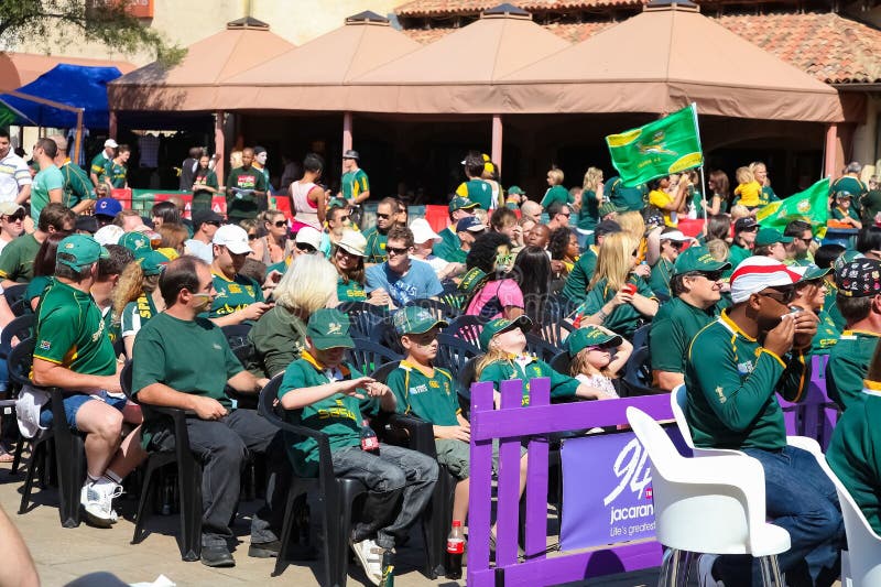 Crowd of People in Green Jerseys Seated for a Rugby Event Editorial