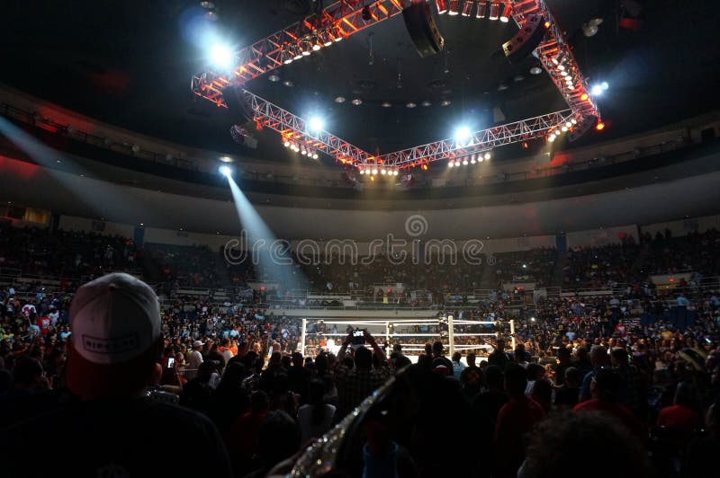 1 105 Wwe Photos Free Royalty Free Stock Photos From Dreamstime
