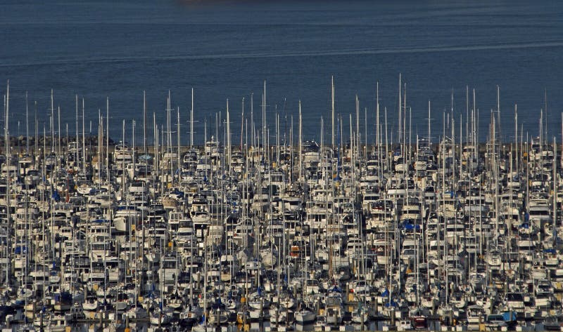 Crowded Sailboat Marina Seattle