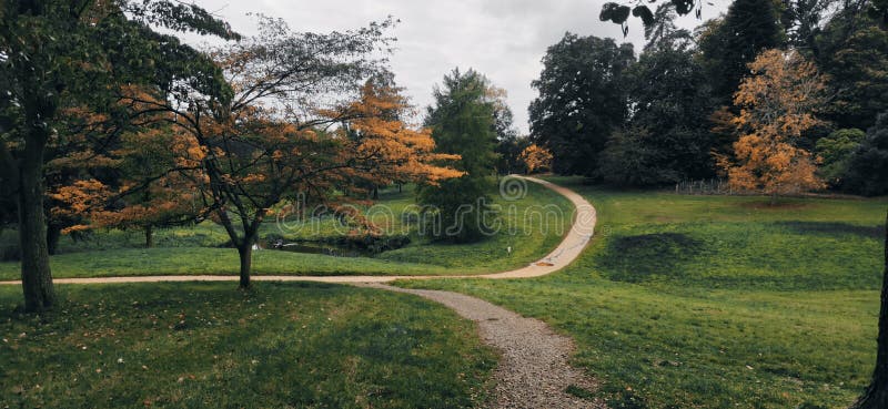 The Crown Estate Windsor Great Park Stock Photo Image of meadow, estate 199552780