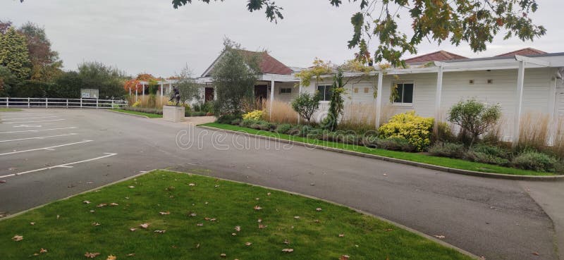 The Crown Estate Windsor Great Park Stock Image Image of plant