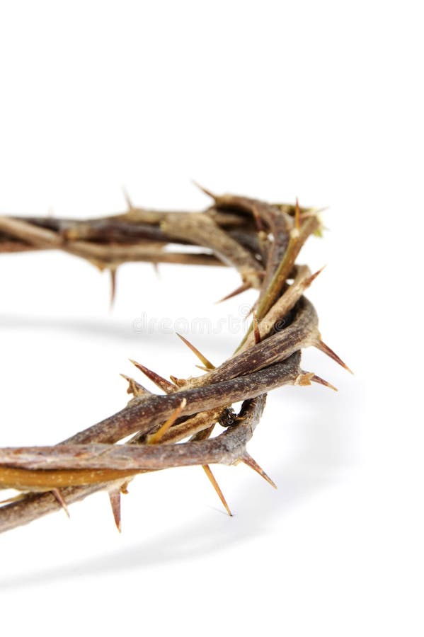 Crown of thorns stock photography Crown of thorns stock photography