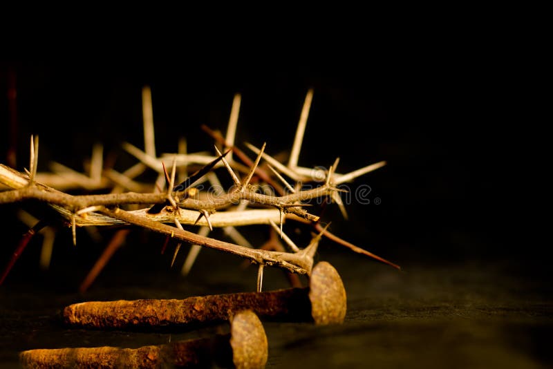 Nails and crown of thorns on Bible | Stock Video | Pond5