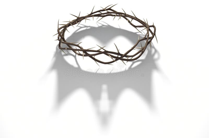 Crown Of Thorns With Royal Shadow